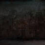 The wall
