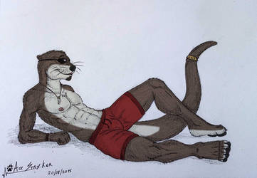 EF21 Otter 2