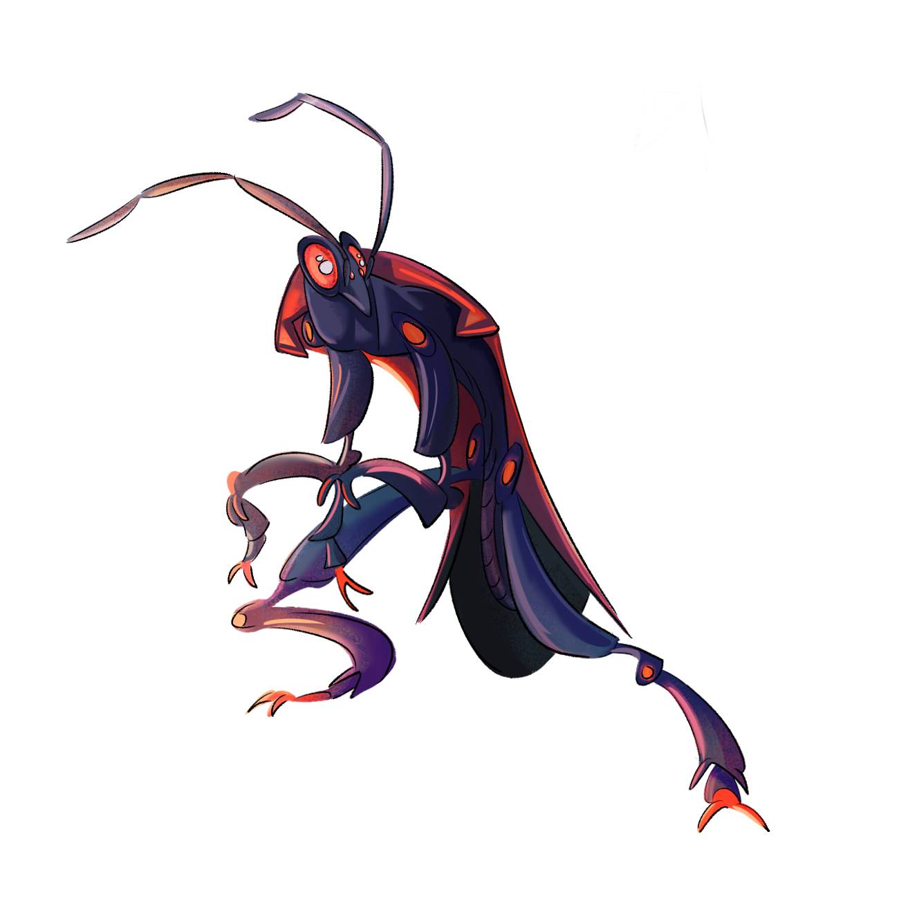 boxelder bug by knkyparadx on DeviantArt