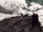 Dreaming to fly by Lionique