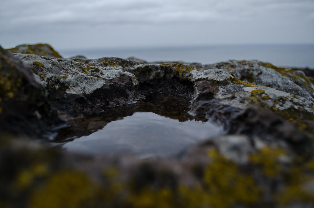 Puddle Stone Puddle on a rock by HelpTechCona on DeviantArt