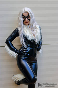 Spider-Man - Black Cat 4