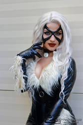 Spider-Man - Black Cat 7