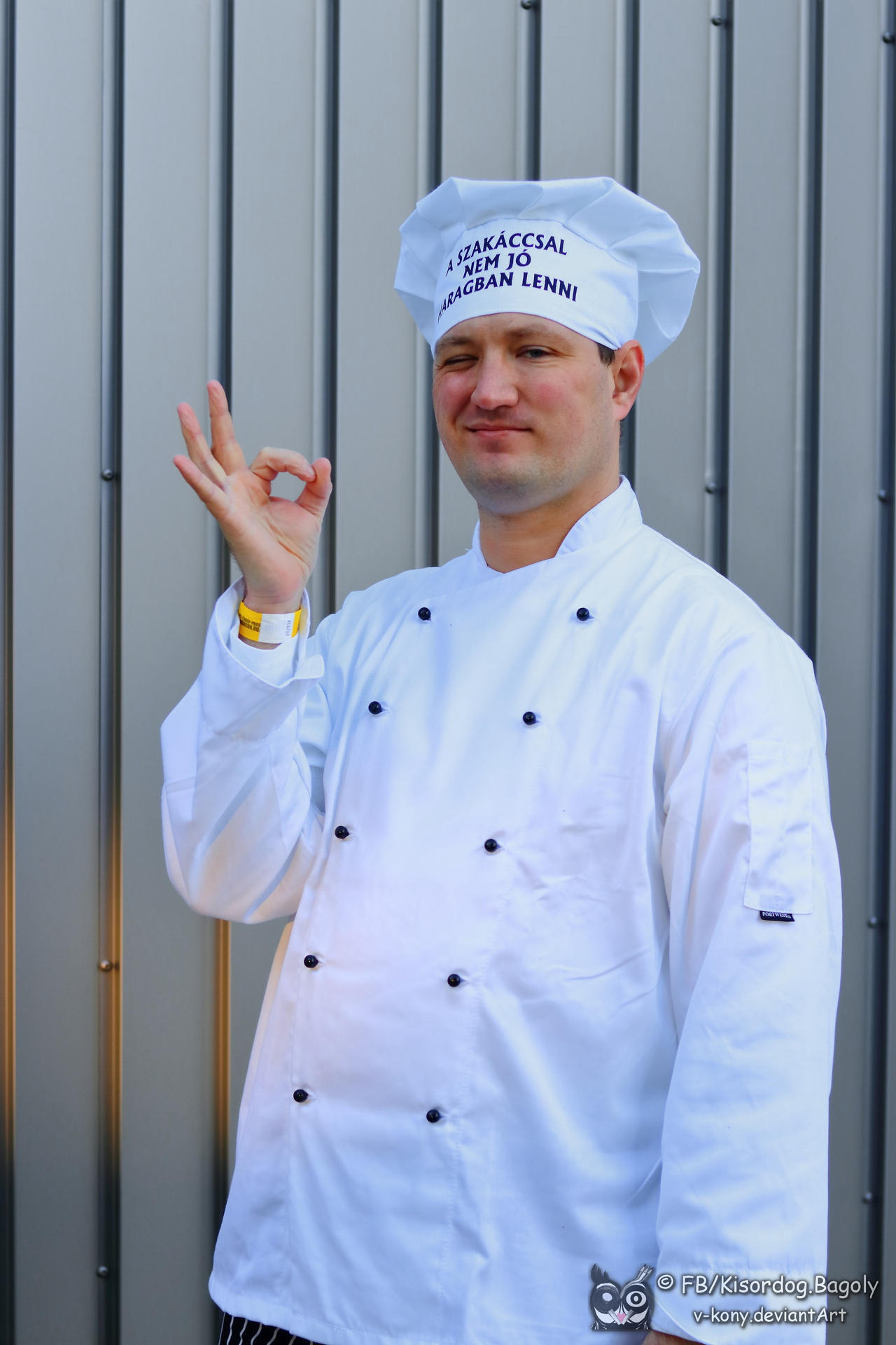 Convention chef 5 by V-kony on DeviantArt