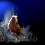 Horse Running Through Starfire