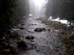 Misty River Stock by AfarStock Misty River Stock by AfarStock