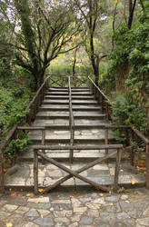 Stairs in Nature Stock
