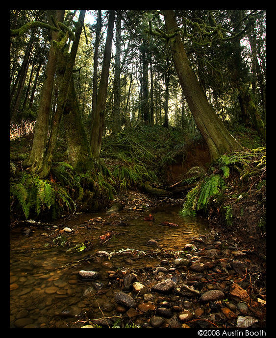 Tryon Creek by austinboothphoto on DeviantArt