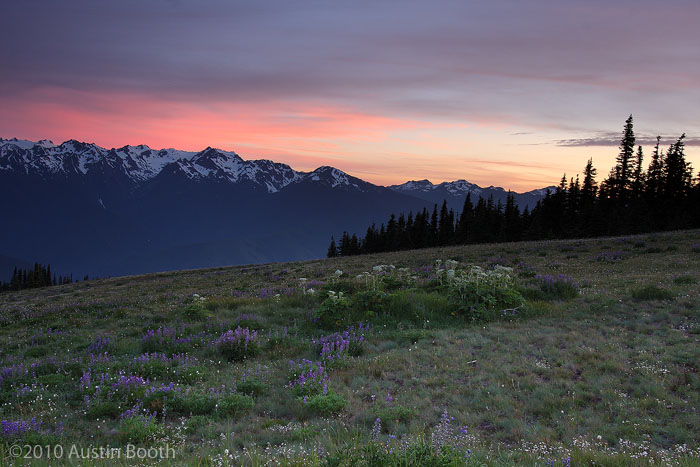 Hurricane Ridge Sunset