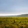 Horseshoe canyon