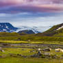 The sheep of Iceland