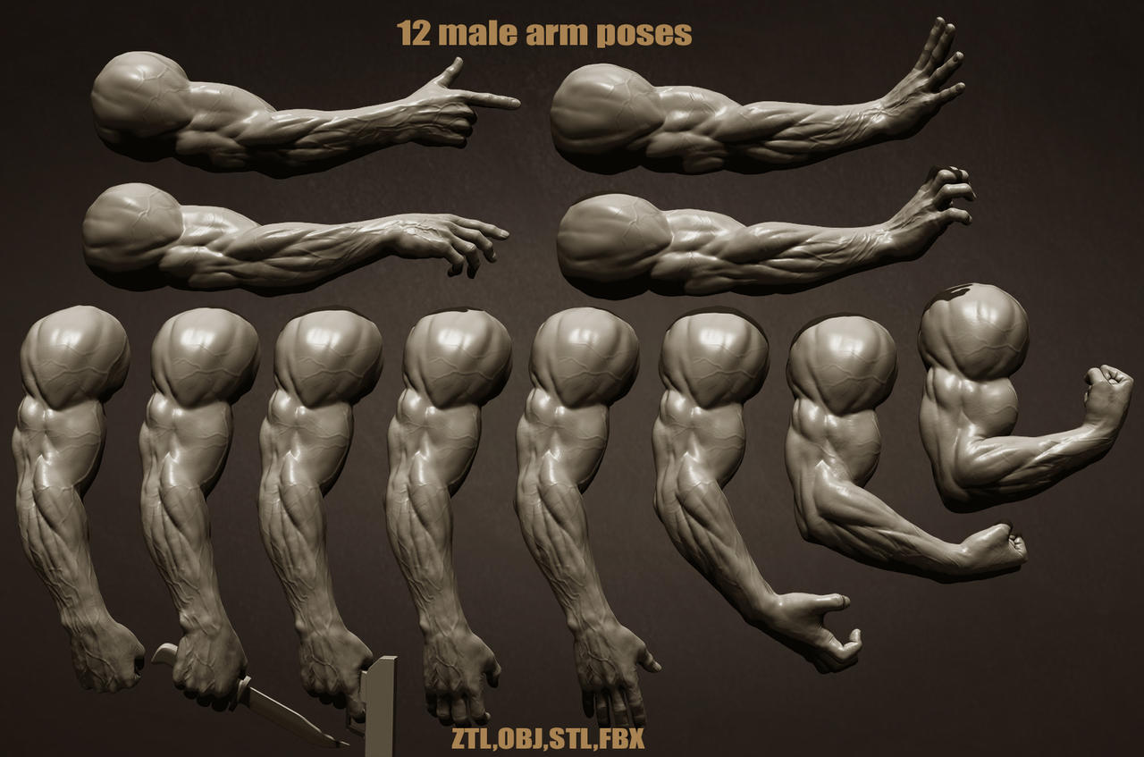 Buff Arm Pdf Buff Arm 3D Model at James Daulton blog
