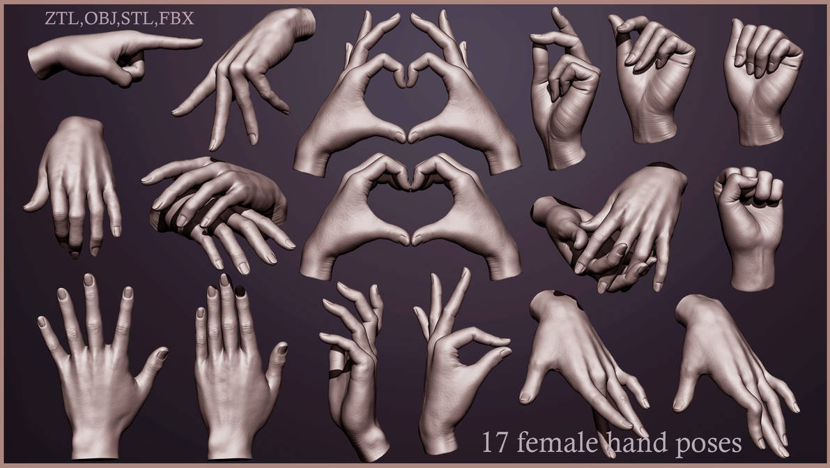 Basic Female Hand 17 female hand poses by DaniART90 on DeviantArt