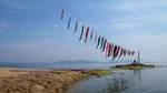 Koinobori and the sea by Fukuchan-Ryoko Koinobori and the sea by Fukuchan-Ryoko