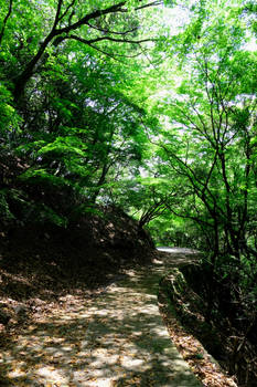 Sawayaka No Michi - The path of serenity