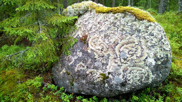 Natural nordic runes
