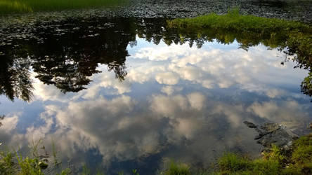 Clouds in the water