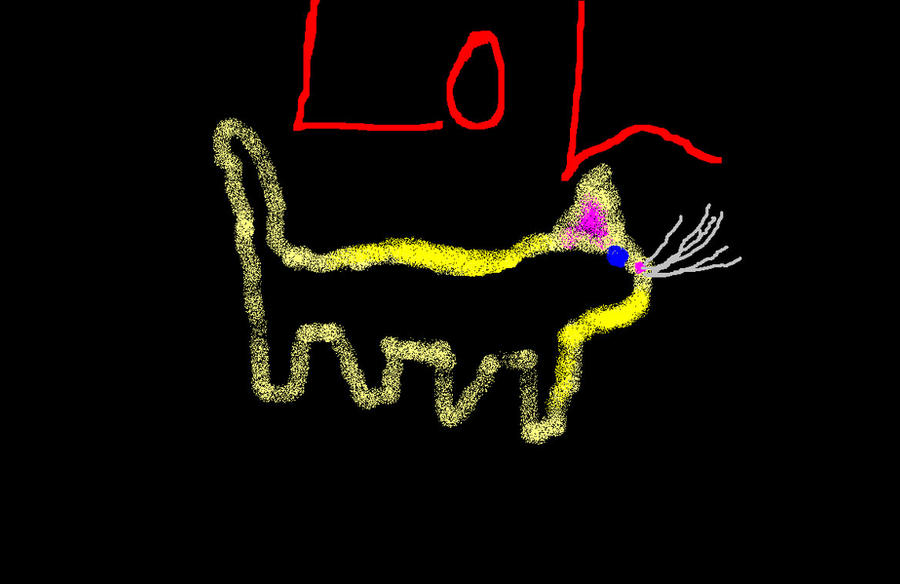 Looooooooooooooooooooooooool Lolcat? by ArtOfSing on DeviantArt