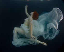 Dream within a dream