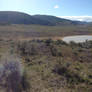 Tumbleweeds, Sage Brush, Alkaline Lake