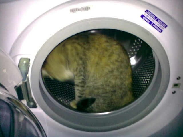 auto-washing kat II