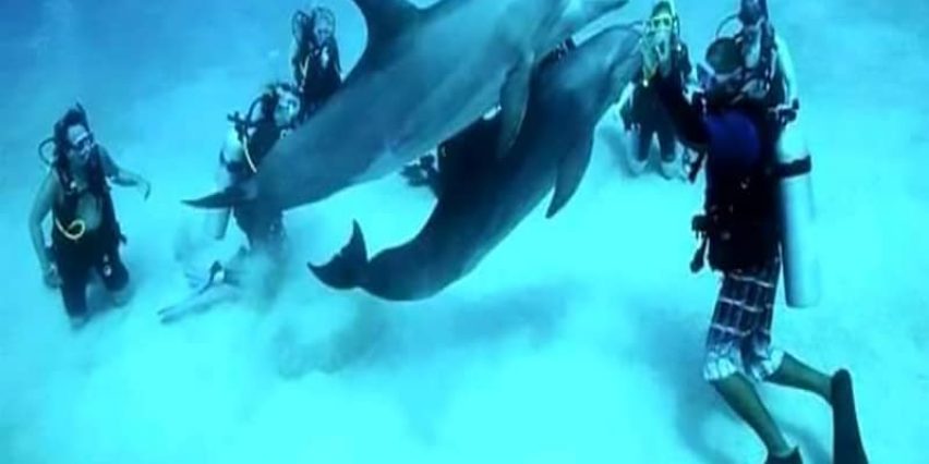 Best Hurghada snorkeling and diving tours