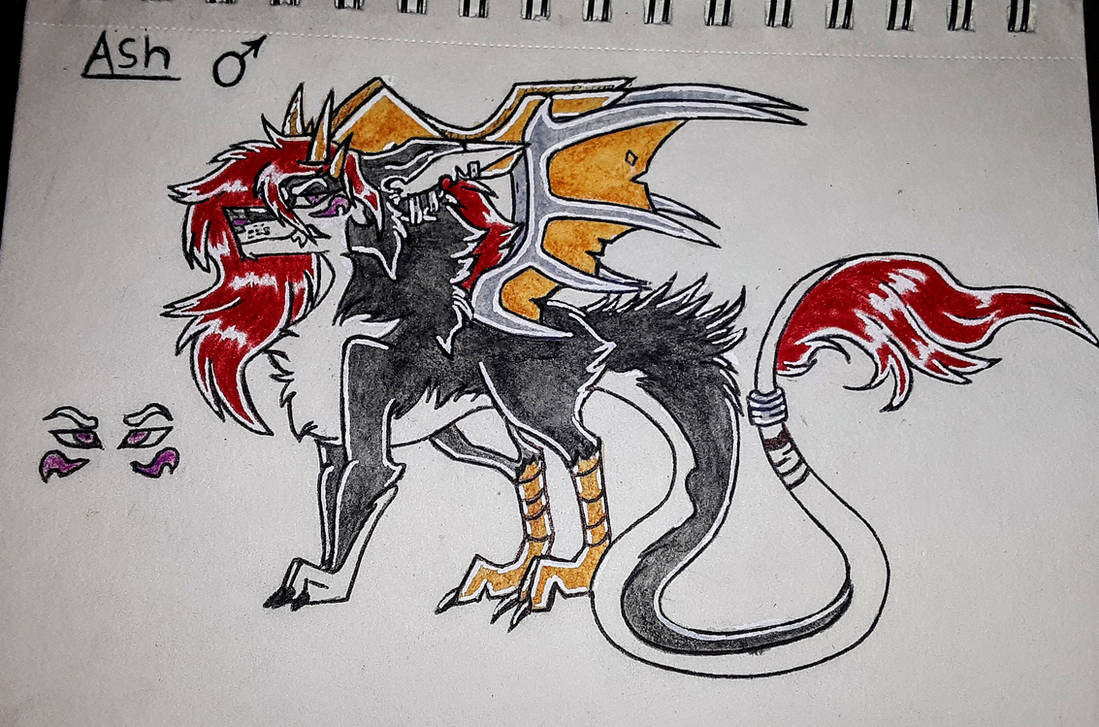 Ash Refrence Ash's reference sheet by cupcake-wolfe-gurl on DeviantArt