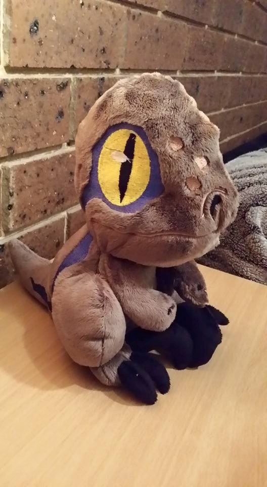 Jurassic World Baby Raptor Blue By Phylpo On Deviantart Jurassic World Baby Raptor Blue By Phylpo On Deviantart