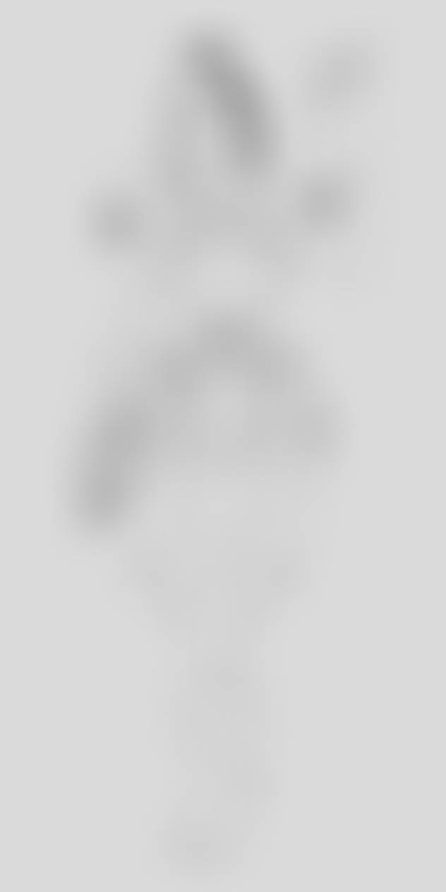 Lanari time skip design linart by SixellaBlue on DeviantArt