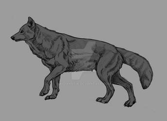 Wolfie#2