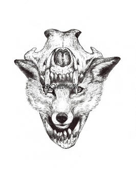 FOX and FOX SKULL illustration