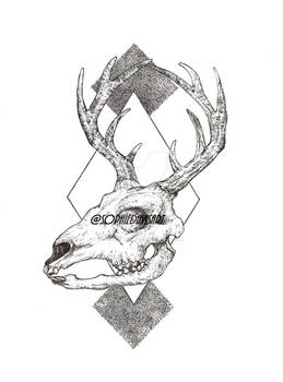 STAG Illustration Print