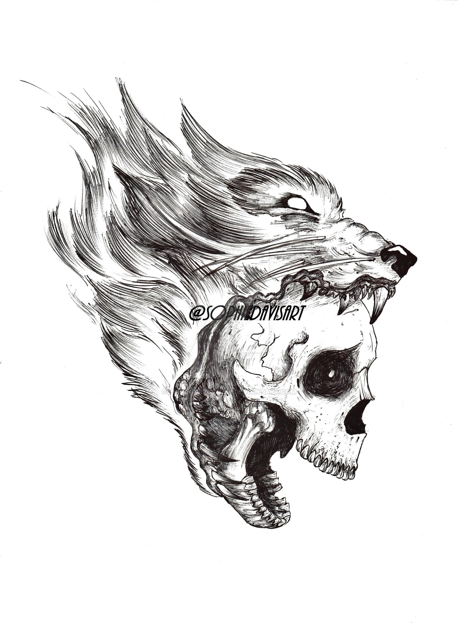WOLF and SKULL Illustration Print by psychosisblazee on DeviantArt
