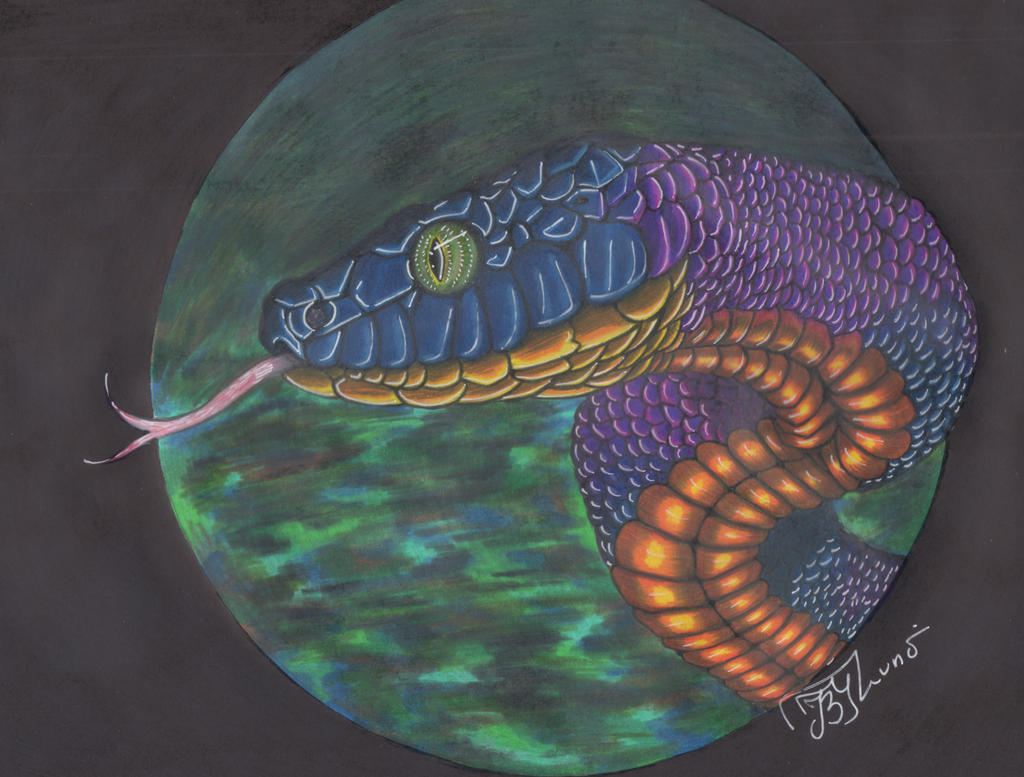 Colored pencils, snake by WolfLuna97 on DeviantArt