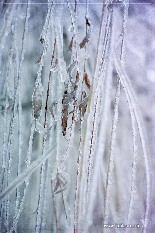 Ice strings by Keila-the-fawncat on DeviantArt