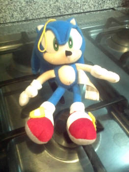 The Sonic of my Cousin :3