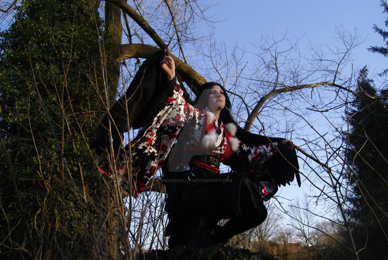 Tengu landing by TragicSally on DeviantArt