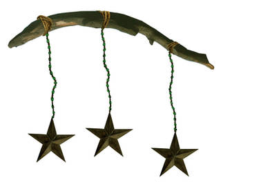 star branch