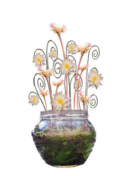 crazy flowers pot