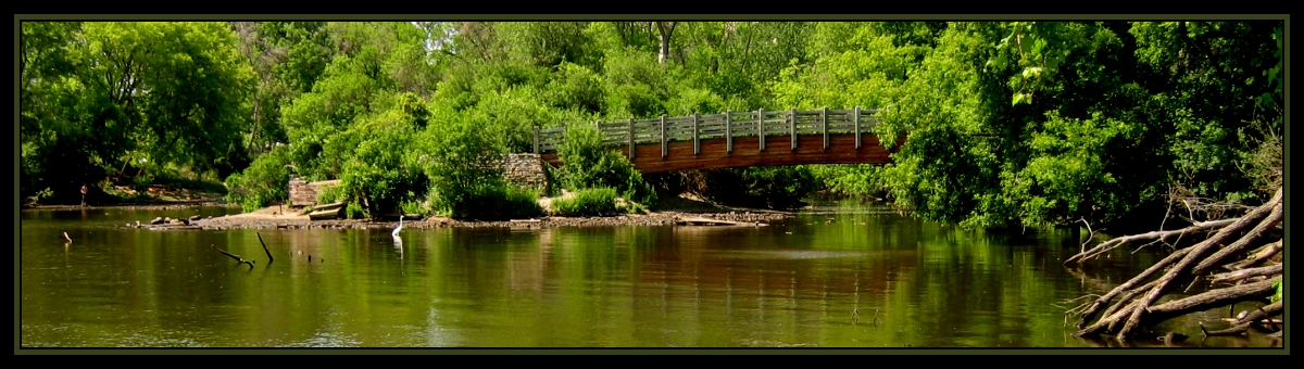 Bridge in Woods