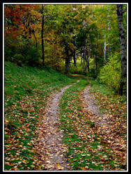 Winding Old Road