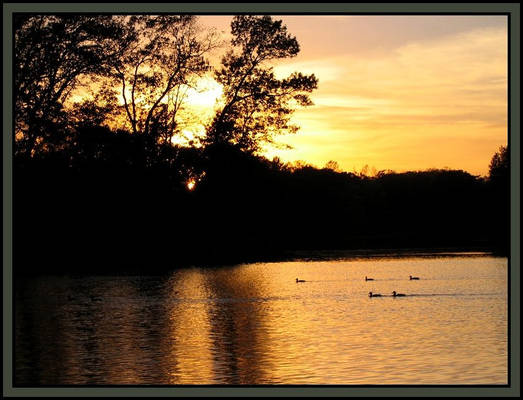 Sunset on Lake