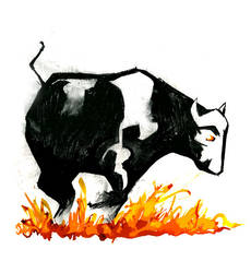 Bull on Fire