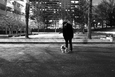 Boy Meets Dog