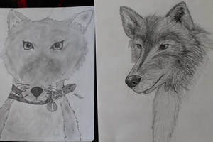 Dog art progression