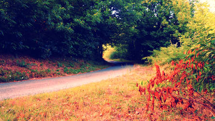 Little French Road by wackjilliams