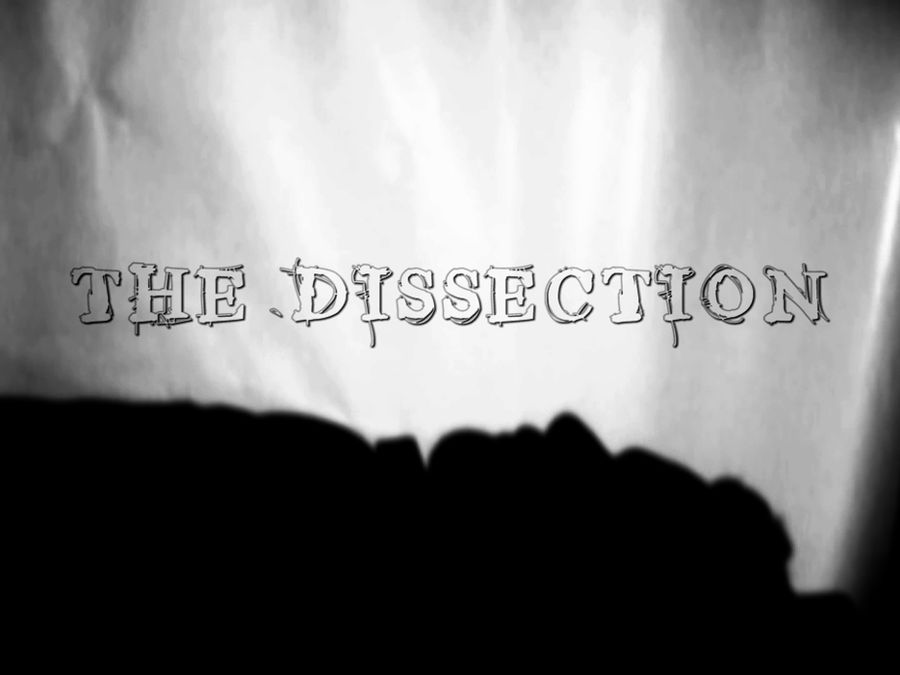 The Dissection . . . by Kurasha244 on DeviantArt