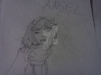 Angel Maximum Ride