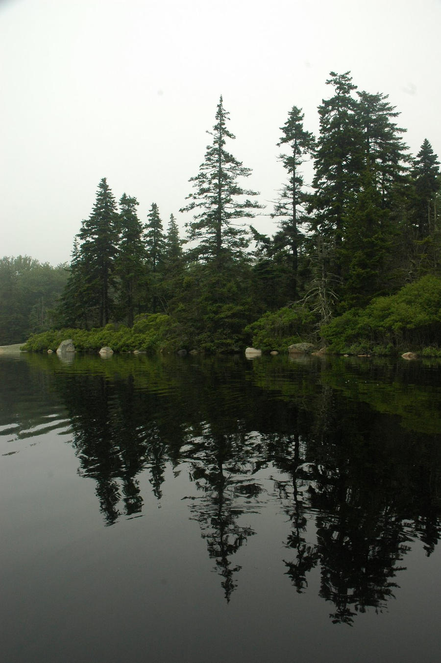 Old Harbor Pond