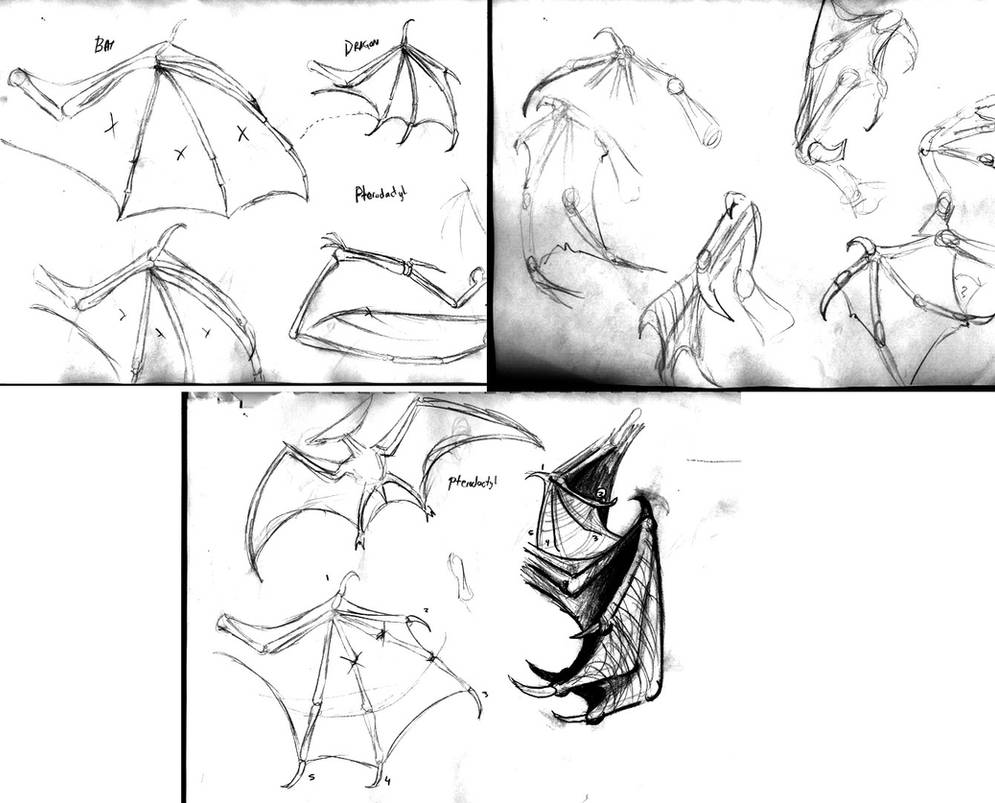 Dragonwings by J2040